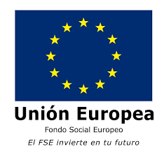 LOGO FSE
