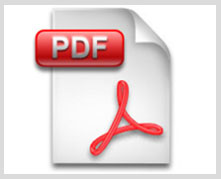 pdf-icon-221x179