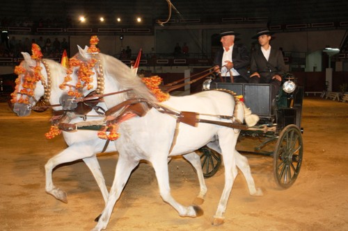 Arte_Danza_a_Caballo-1