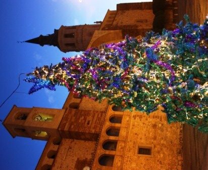 Copia de Árbol plaza