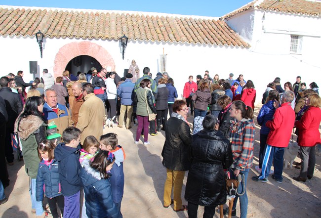 San Antón fiesta