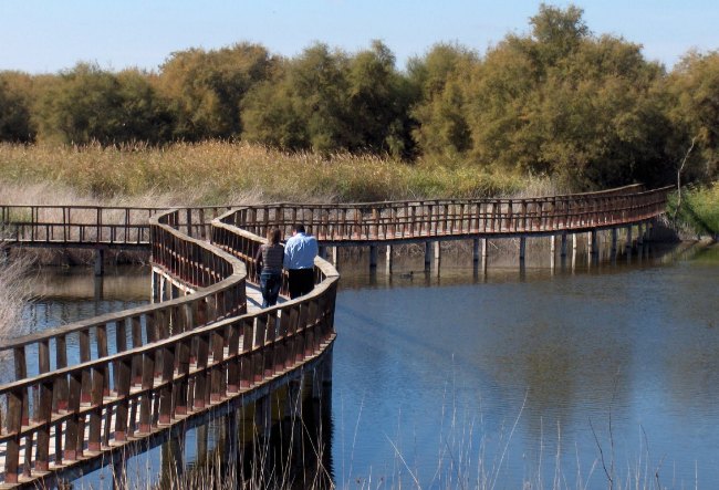Tablas de Daimiel