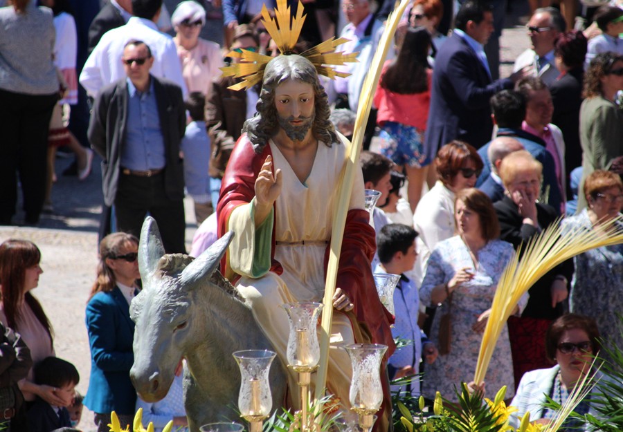 Foto procesión palmas Copia de Ramos borriquilla