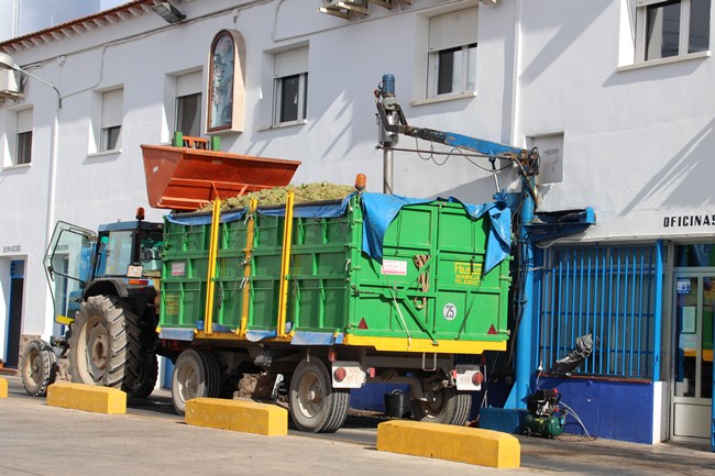 Cooperativa-1