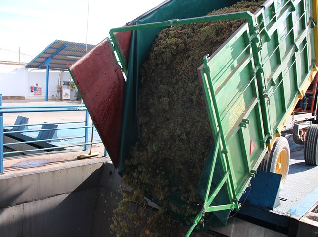 Cooperativa-2