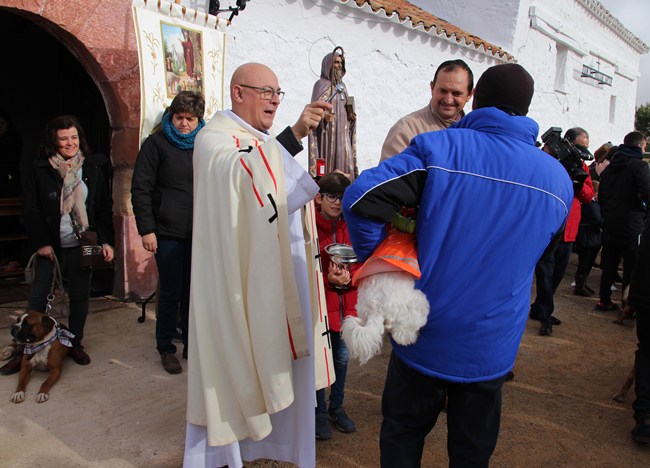 San Antón bendición