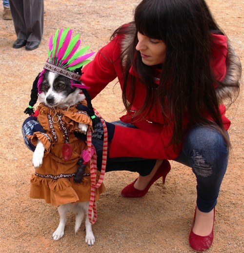 Foto San Antón perro indio San Antón perro indio