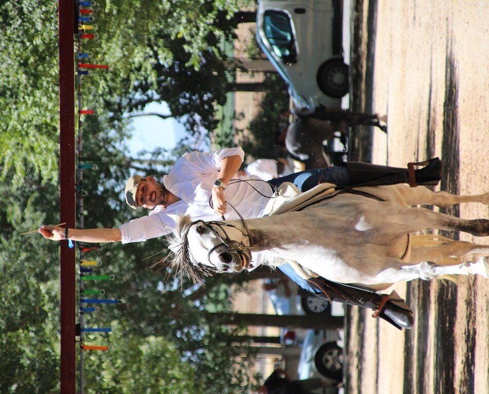 Carrera cintas caballos