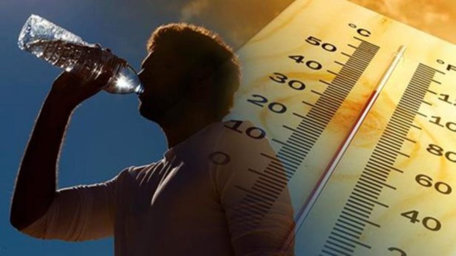 Ola de calor