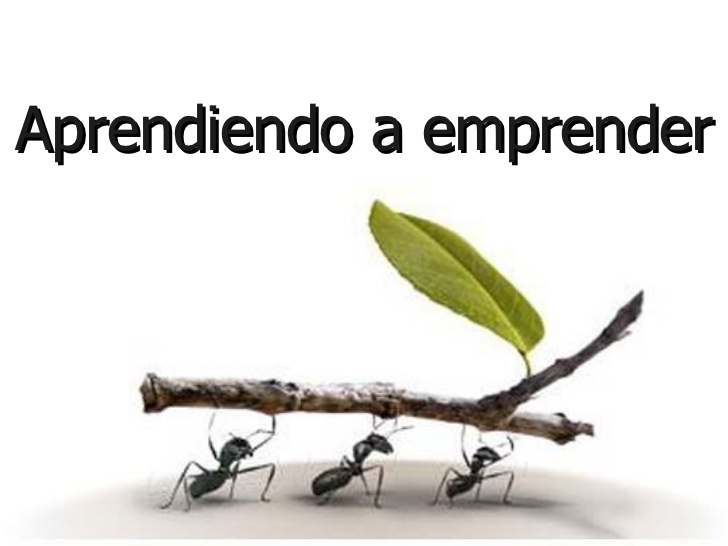 autoempleo