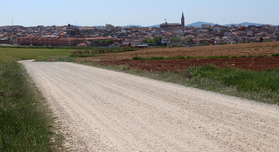 Camino de Toledo