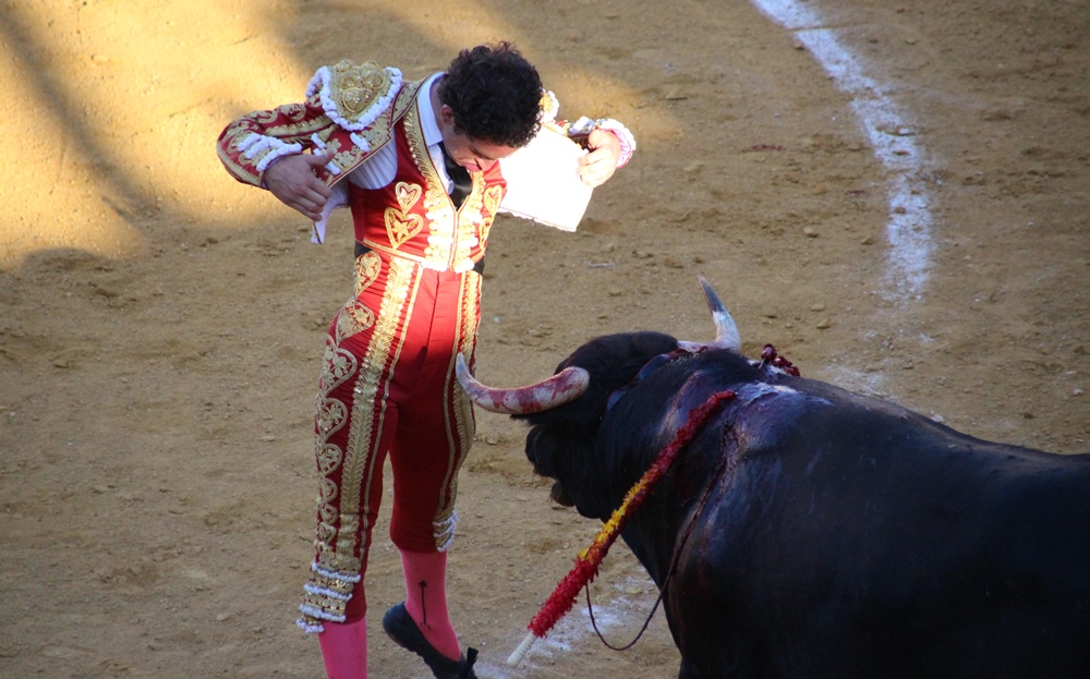 Novillada Víctor Hernández desplante