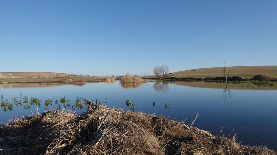 Acuífero 23