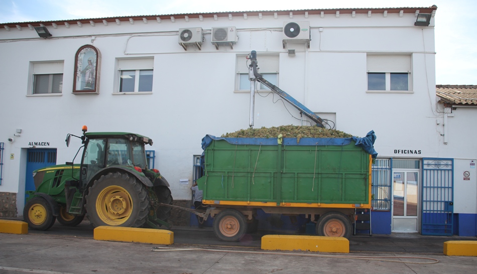 Cooperativa campaña uva-2