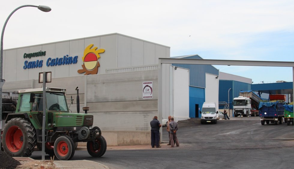 Vendimia cooperativa-1
