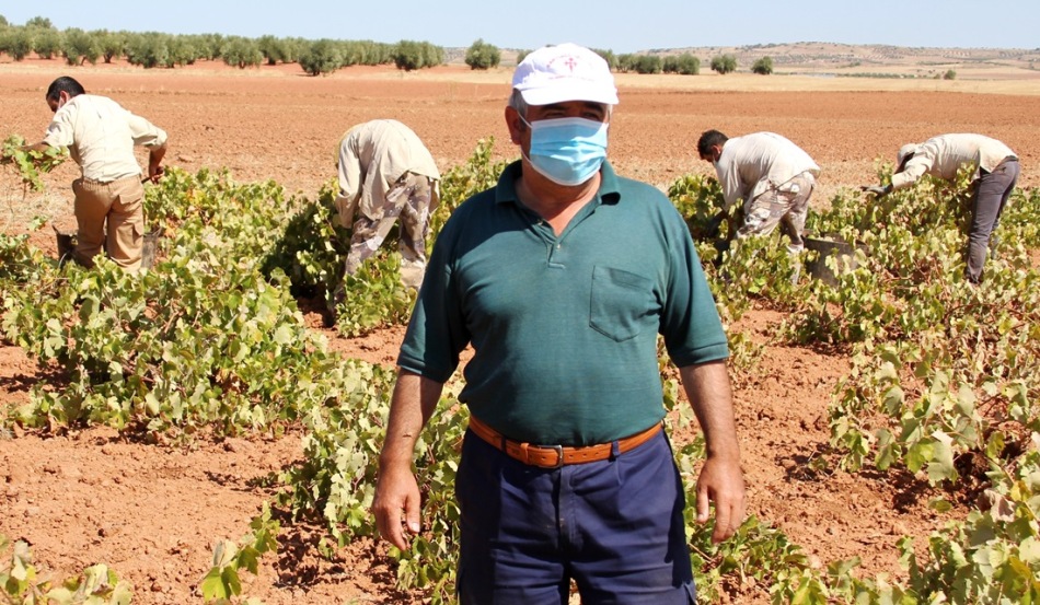 José Díaz-Cano con su cuadrilla en plena vendimia