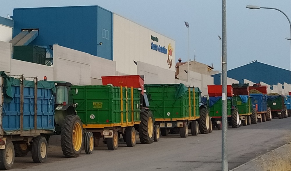 Tracotres esperando descargar en la Cooperativa Santa Catalina