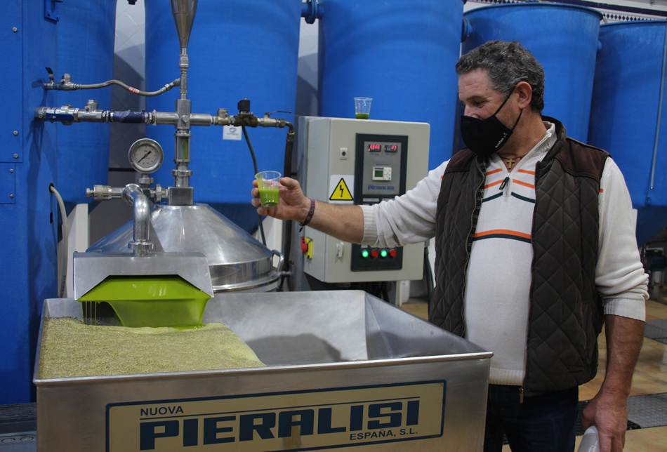 Cooperativa aceite verde