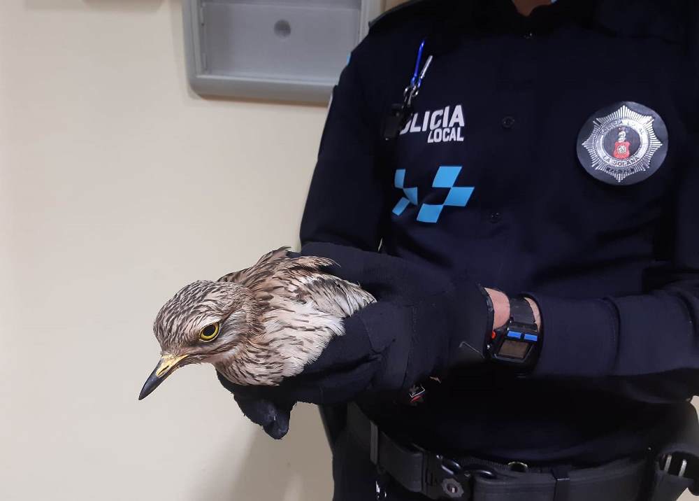Policia con el ave