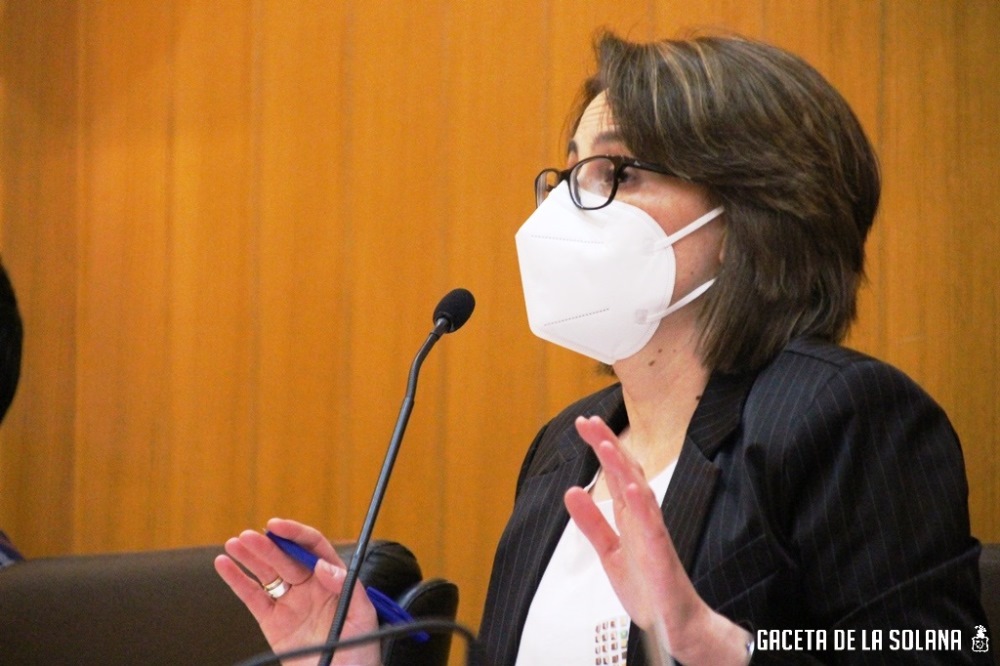 Luisa Márquez en un pleno reciente