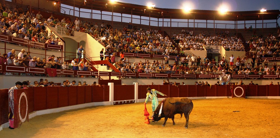 Toros noche