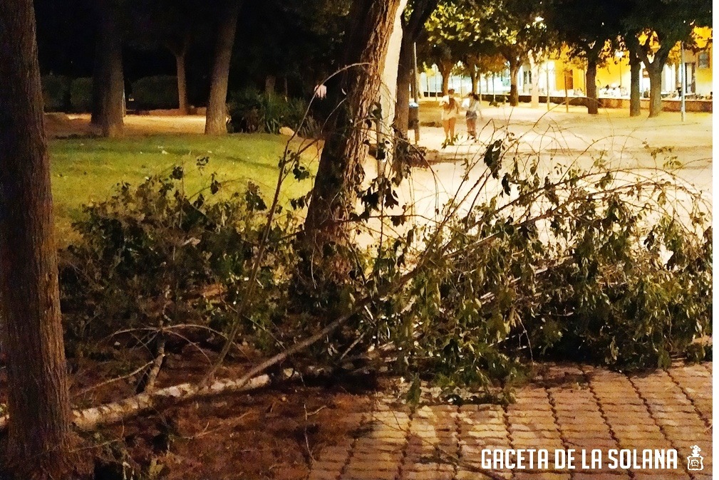 Rama parque