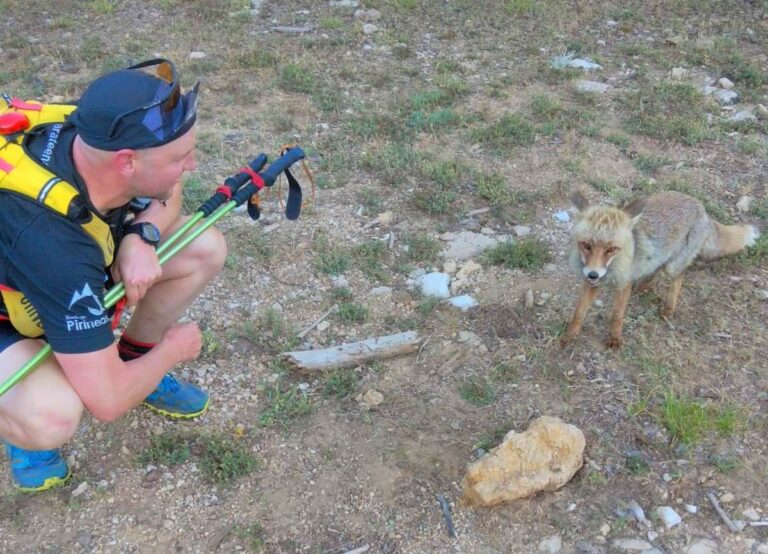 Augusto junto a un zorro en plena carrera por Cazorla
