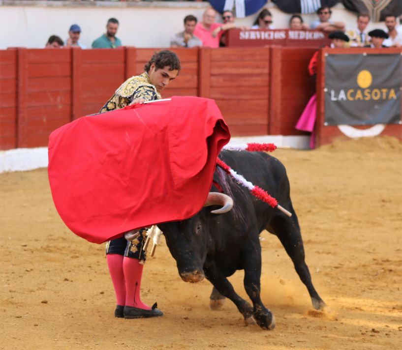 Inicio-de-faena-de-muleta-de-Antonio-Palacios-Foto-Julio-C.S.-2-817x712