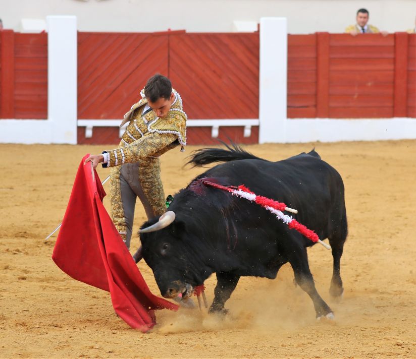 Inicio-de-pase-de-pecho-de-Miguel-Zazo-Foto-Julio-C.S.-2-824x712