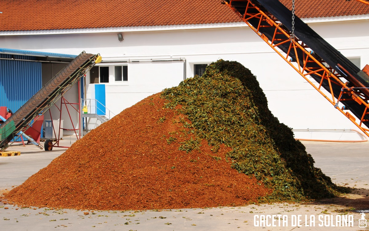 -Más orujo y menos mosto por tamaño uva