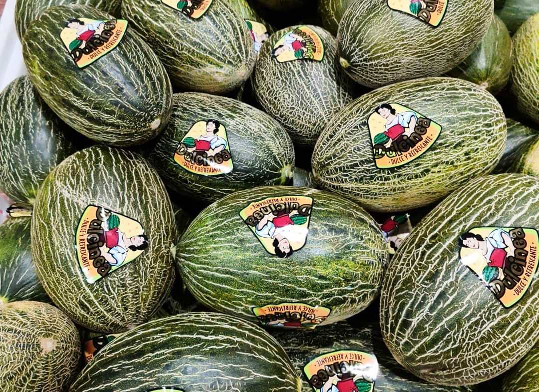 -Melones Dulcinea de la Mancha