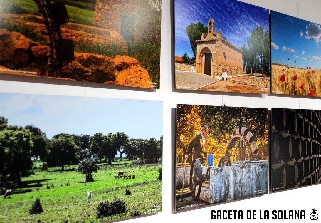 -Expo fotos detalle de algunas instantáneas