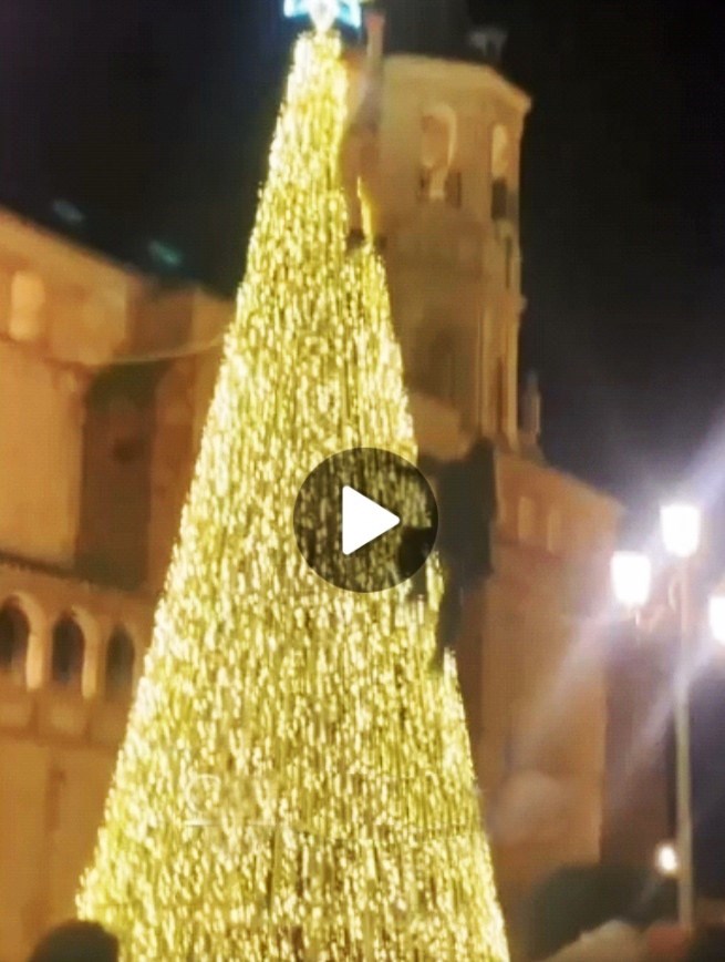 -ÁRBOL NAVIDAD