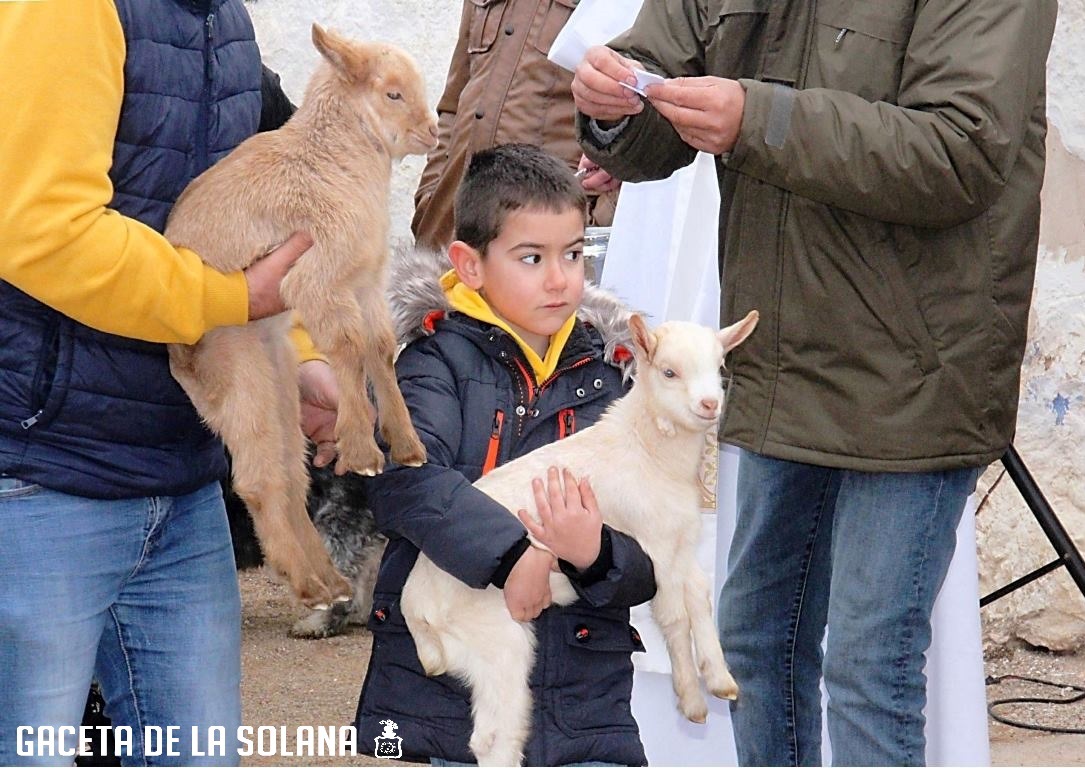 -Muchos niños con mascotas