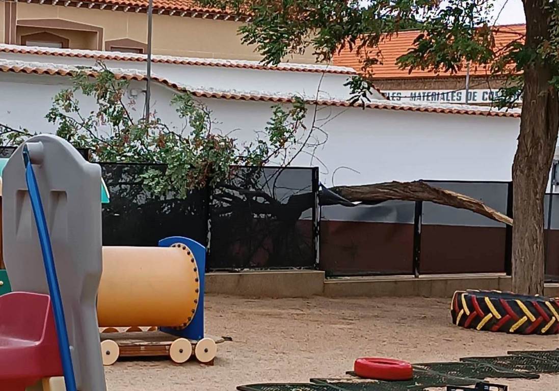 foto -Árbol caído guardería