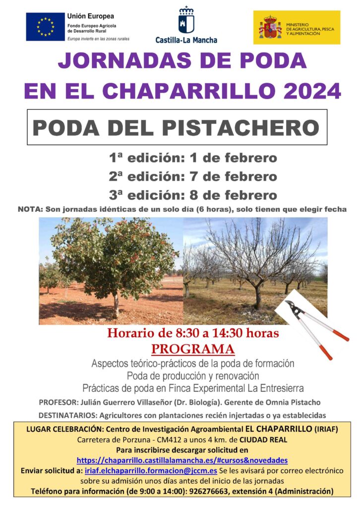 Jornadas de Poda en el Cachaparrillo 2024 - Poda del Pistachero