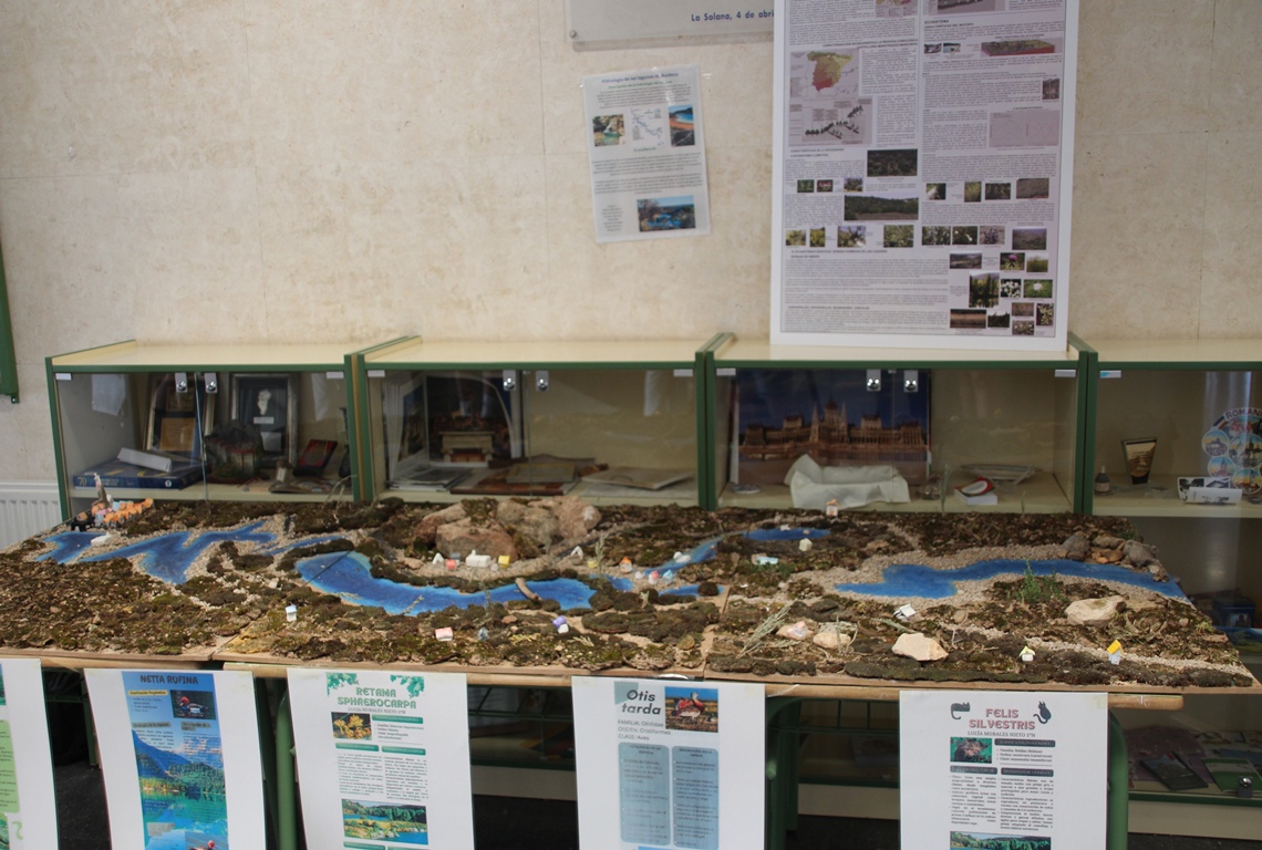 - Proyecto Ruidera IES C Campoamor maqueta