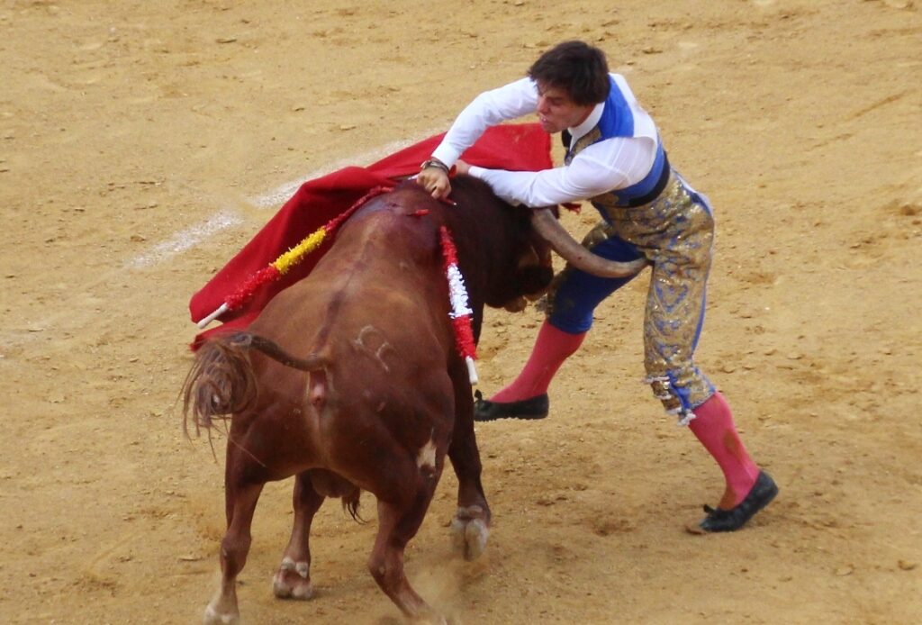 -Novillada cogida-2