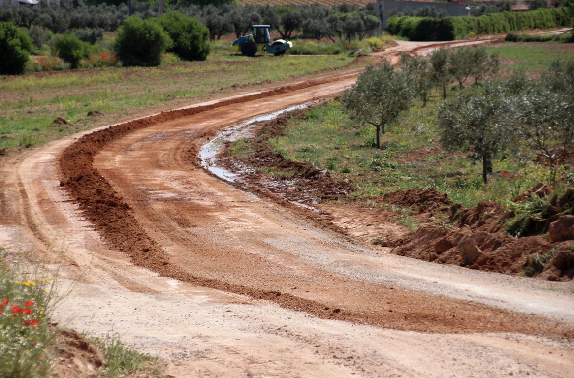 -Imagen del camino viejo de Alhambra-