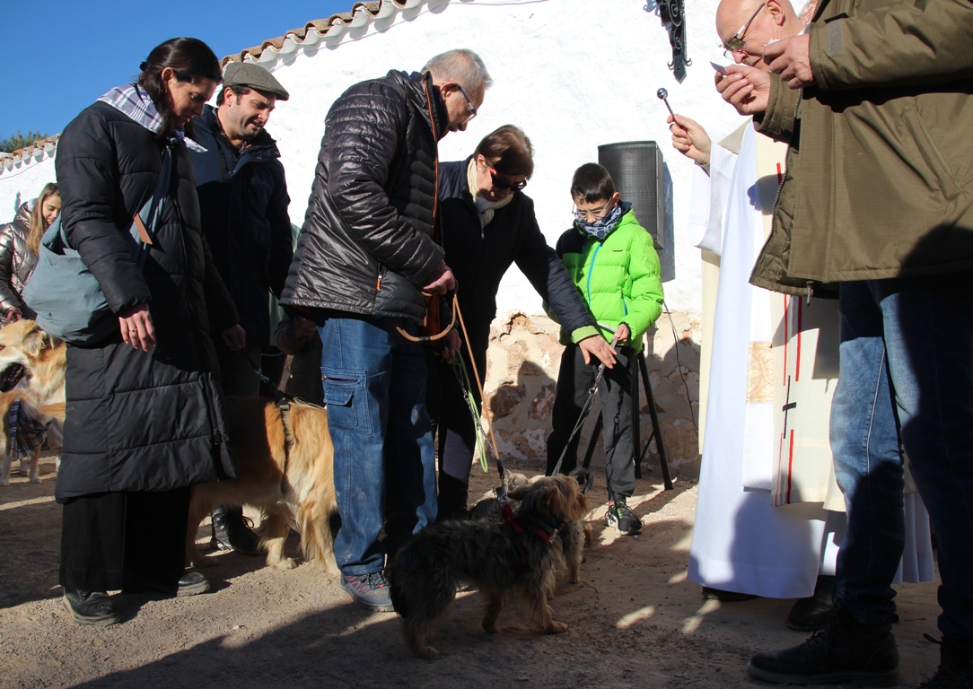 -Bendición de animales