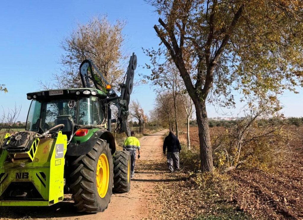 -Poda de árboles y retirada de maleza