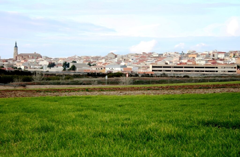 -El aspecto de las siembras es espléndido tras las lluvias