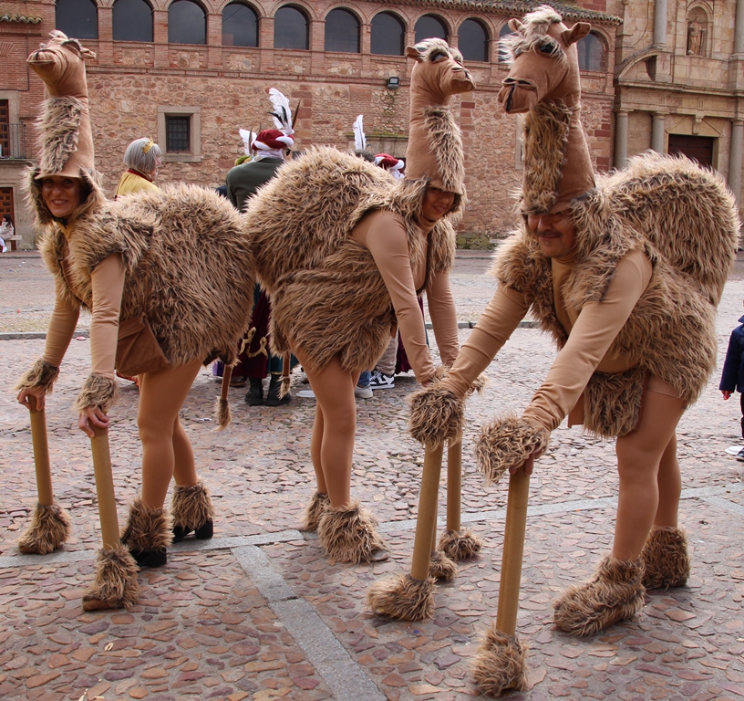 Los Antológicos y sus camellos
