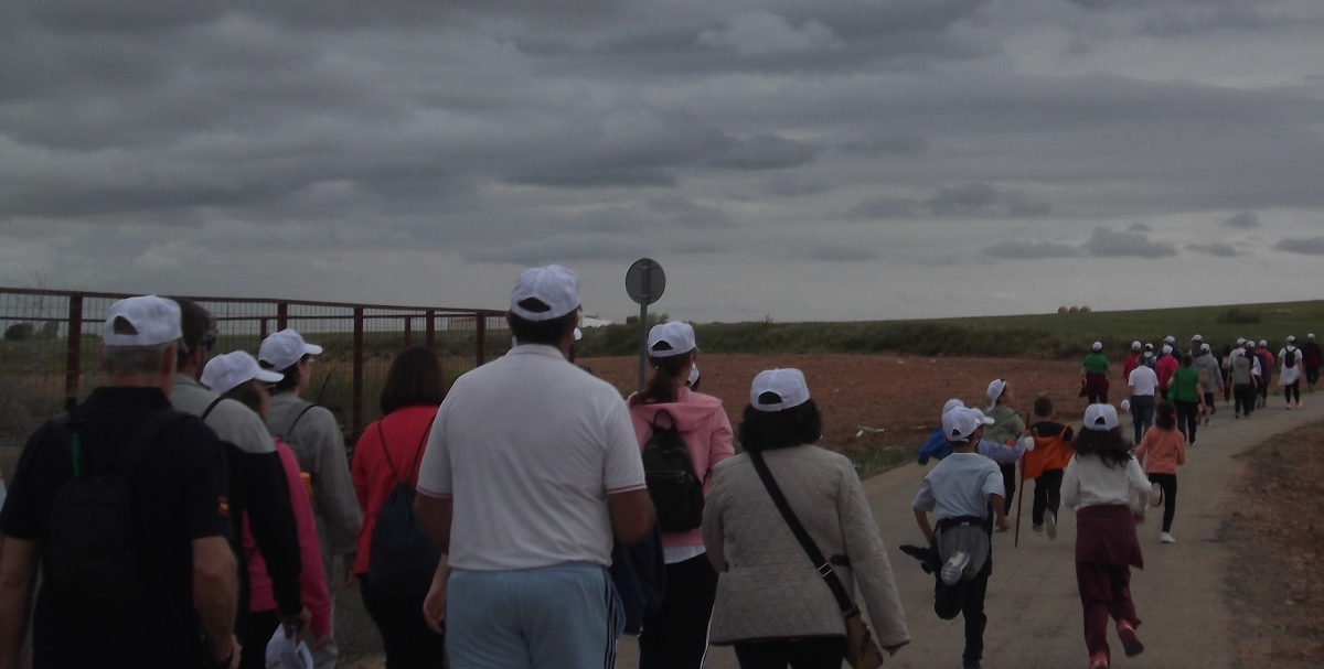 - Caminillo camino
