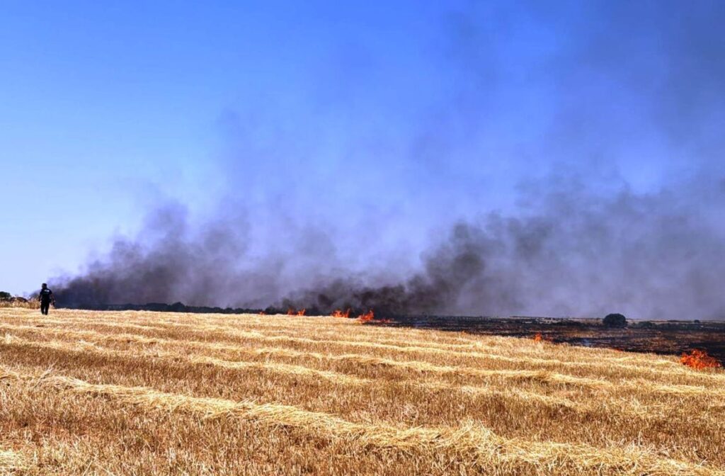 -Policía_camina_junto_a_uno_de_los_incendios.jpg