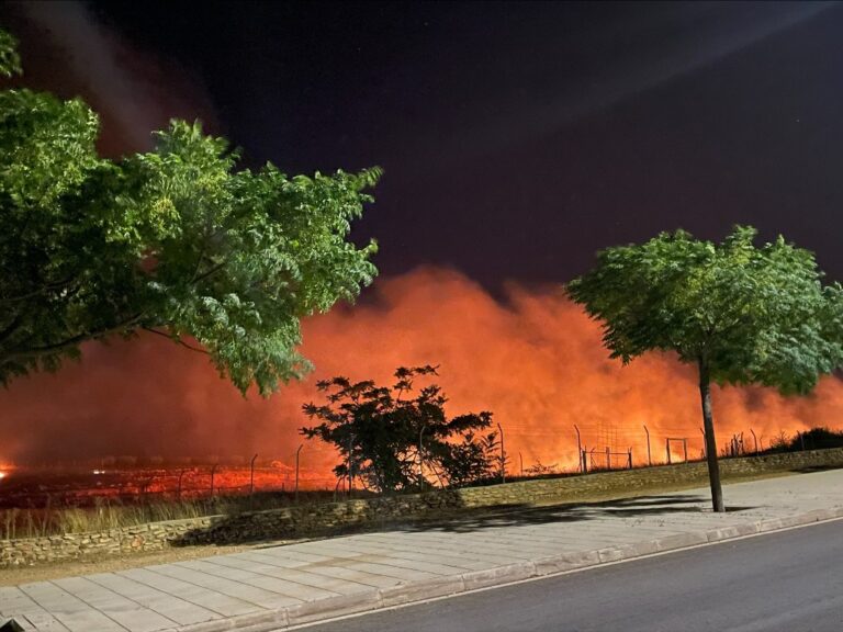 Un incendio quema varias hectáreas de hierba seca en la zona norte ...