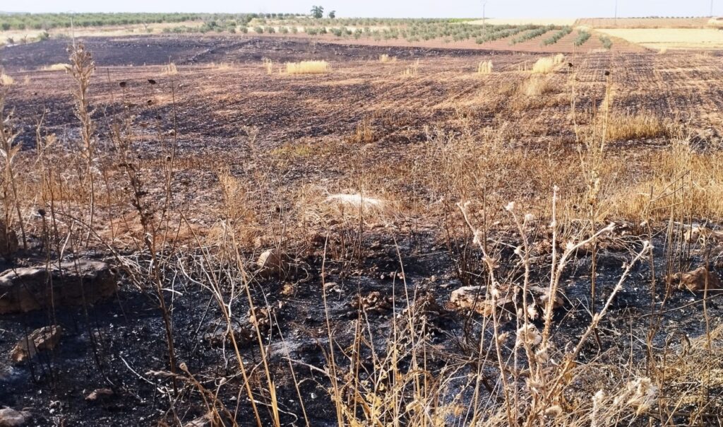 -Rastrojo quemado en la zona norte junto al carreterín de Herrera