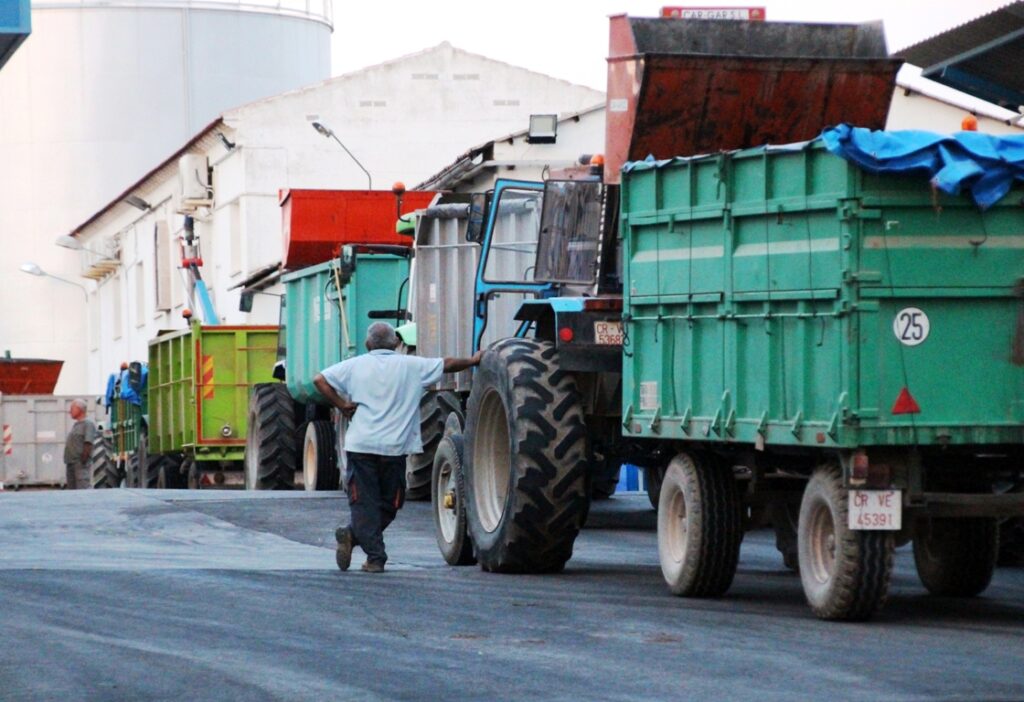 -Remolques esperando descarga en la cooperativa Santa Catalina