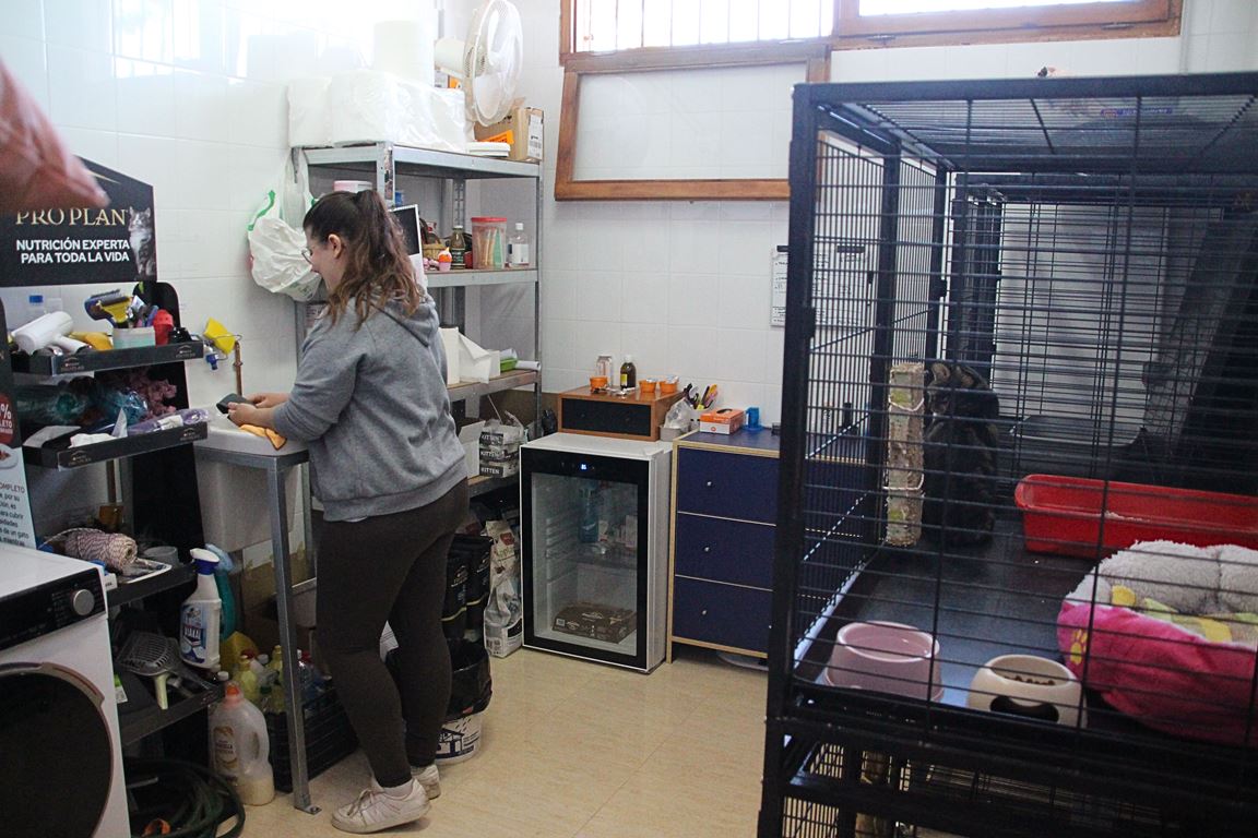 -Enfermería núcleo zoológico