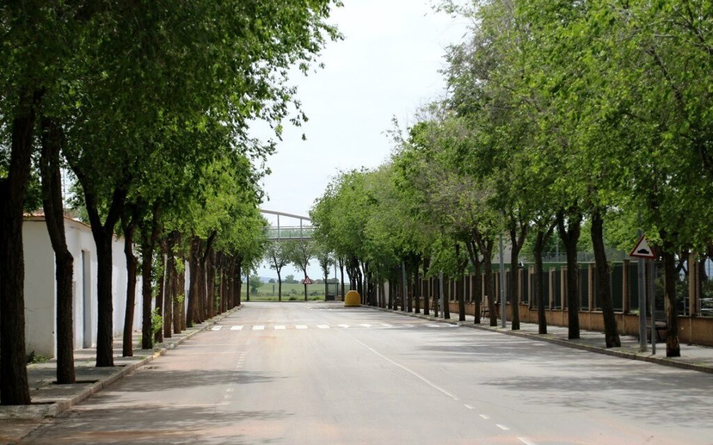 - Avenida del Deporte